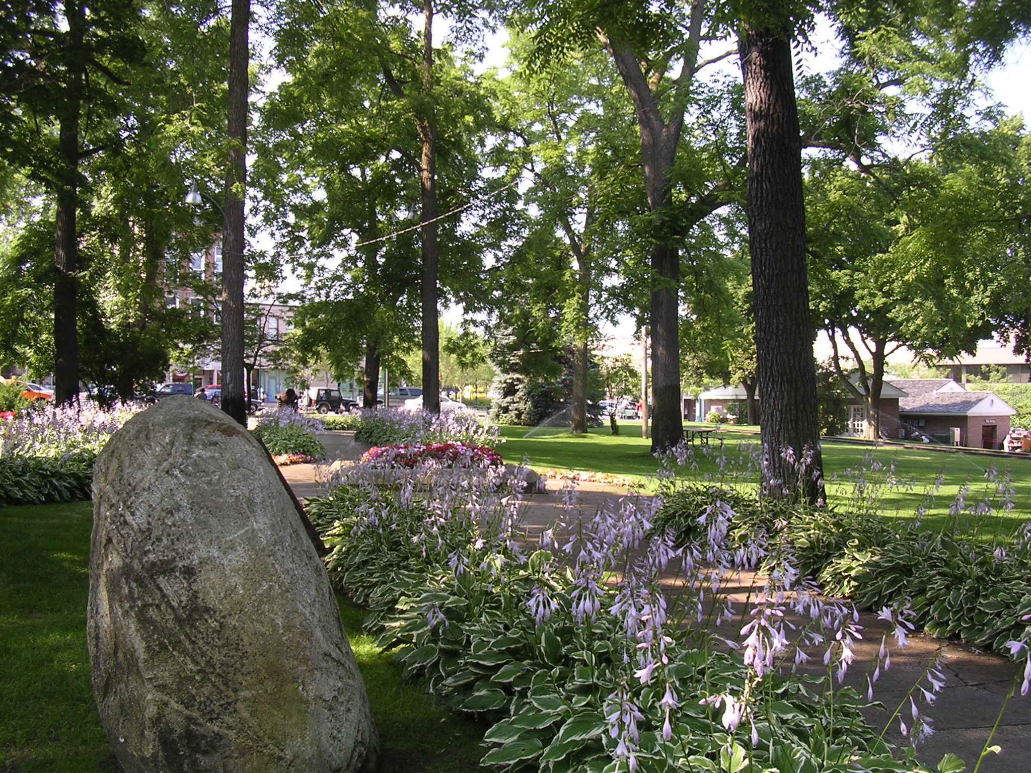 Garden and homes in a suburban setting